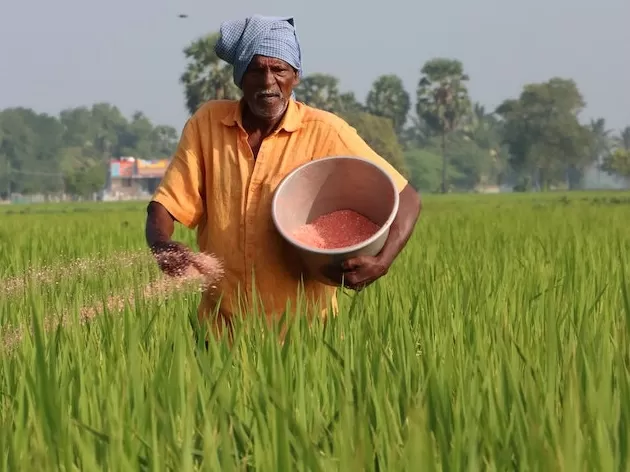 Farmer applying agricultural material in a green field