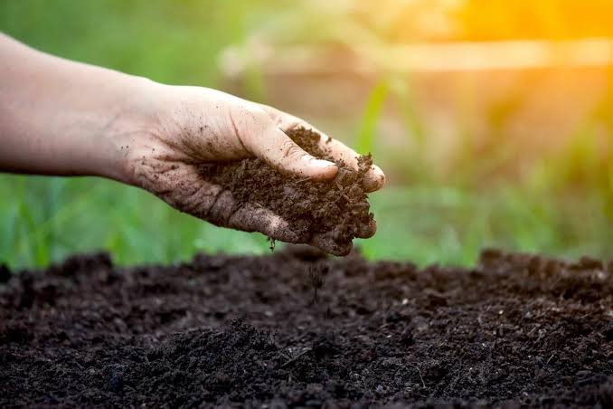 Rock Phosphate agricultural soil application