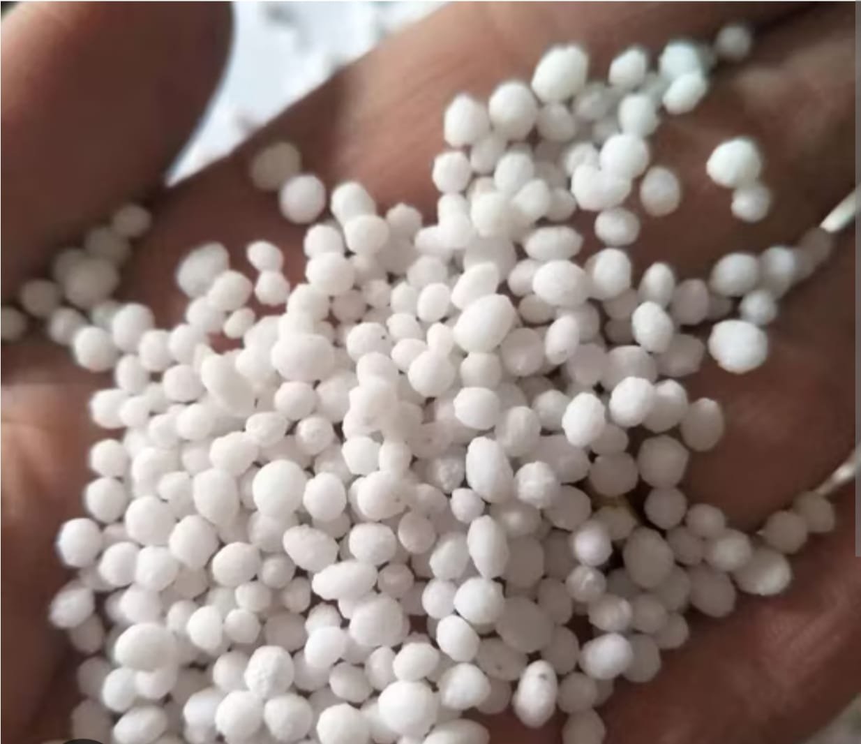 Technical Grade Urea white granules in hand